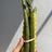 Asparagus Beeswax Candle Tapers (2)