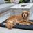 Tough Rip-Stop Orthopedic Dog Crate Bed - Cover