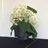Planter/Vase Set with Ikebana Lid - Soapstone