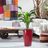 Bird of Paradise Plant Potted In Lechuza Rondo Planter - Red