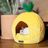Pineapple Dog & Cat Fun Bed Prive Collection