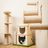 On2 Pets Cat Furniture Wall-Mounted Scratcher Cat Steps, Sisal Rope Scratching Posts Floating Cat Wall Perches (Cat Face)