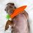 Puppy Carrot