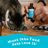 Omega-3 Fish Oil for Cats and Small Dogs