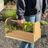 Garden Caddy - Cedar Tool Box with Handle