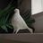 White Ponti Bird