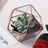 Geometric Glass Succulent Planter | Cubicle Decor