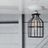 Industrial Lighting - Black Cage Light - Ceiling Mount