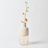Marais Vase Collection | Bleached Wood