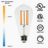 10 Watt LED Filament Bulb (2700k) - Dimmable & Energy-Efficient | Bicycle Glass Co.