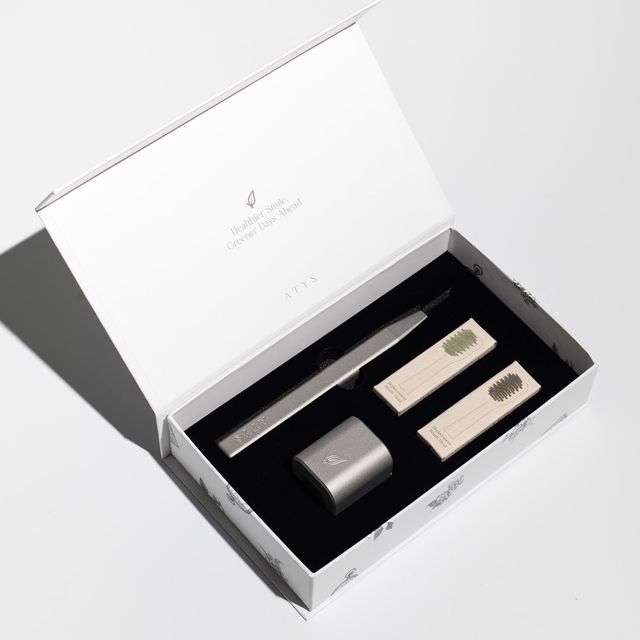 Silver Everyday Toothbrush Set