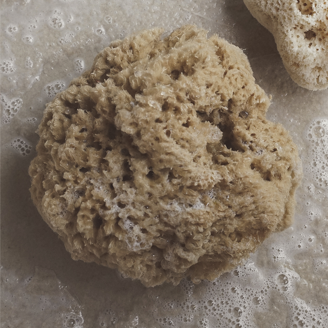 Mineral Sea Sponge