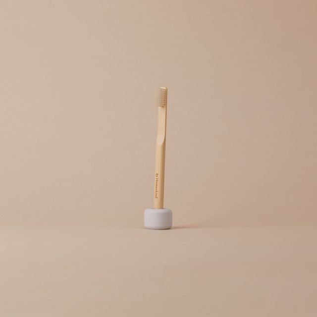 Toothbrush with Stand ($6)