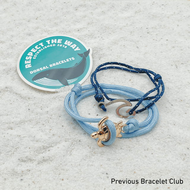 Sea Siren Bracelet - 2mm - Castaway Jewellery Company | Castaway Jewellery  Company