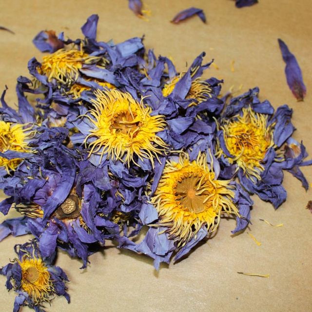 Blue Lotus Loose Leaf Tea