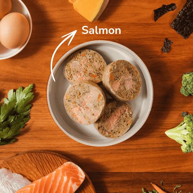Adult Taster Pack - Salmon