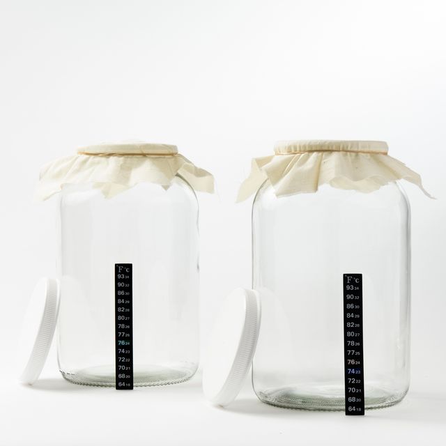 One Gallon Glass Fermenting Jars with Muslin Cloth Covers and Temp Strips - Set of 2