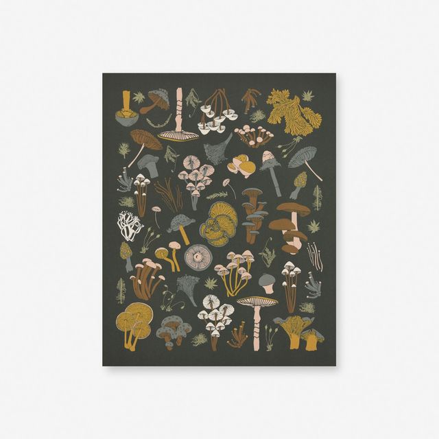 Mosses + Mushrooms Art Print