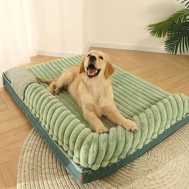 Removable Large Dog Bed With Double Pillow