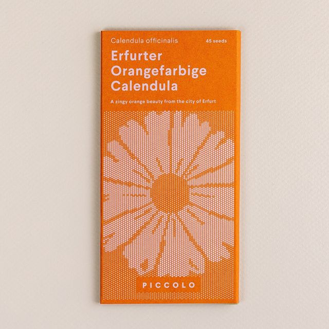 Calendula Erfurter Orangefarbige