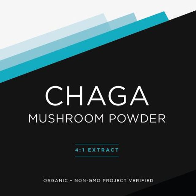 Organic Chaga Mushroom Extract Powder
