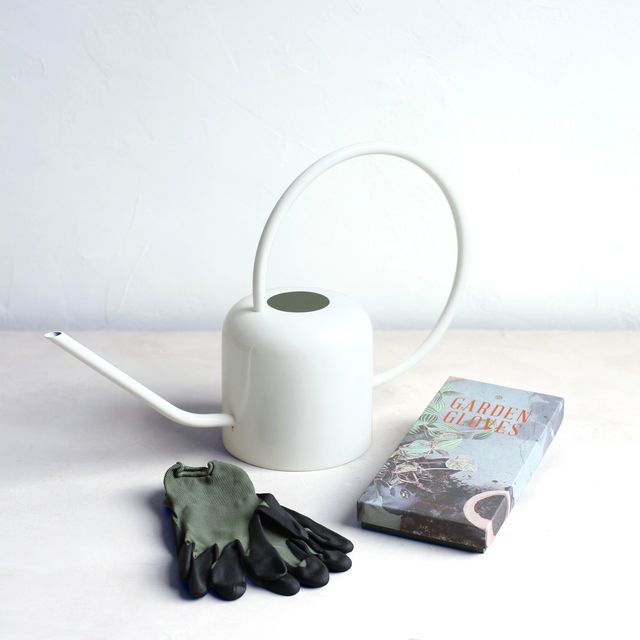 Watering Can & Glove Set