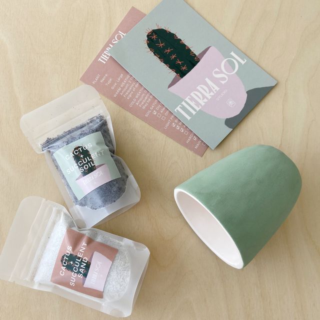 Save a Plant Kit - Cactus and Succulent