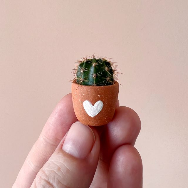 Lots of Love Party Box + Mini Cactus!