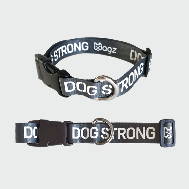 Dog Strong Collar