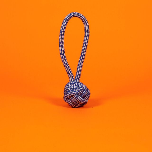 Rope Knot Toy / Royal Blue and White