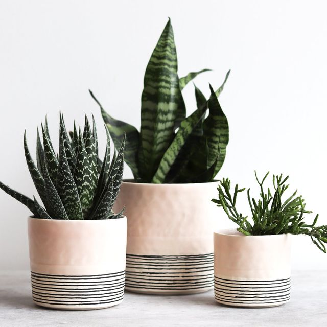 Pinched Planter with Stripes - Summer Sweet
