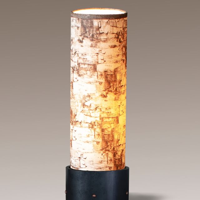 Steel Luminaire Accent Lamp with Birch Bark Shade