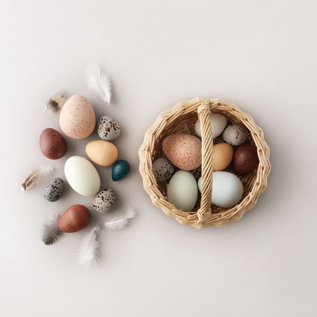 Moon Picnic A Dozen Bird Eggs in a Basket