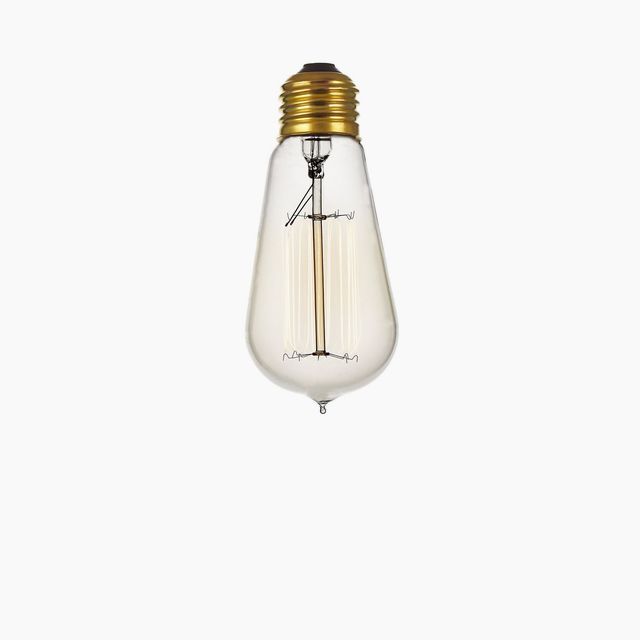 Incandescent Edison Bulb (120/240V)