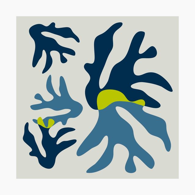 Coral Fine Art Print in Chartreuse Navy