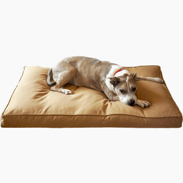 Chew Proof Dog Bed (with a 200 Day Guarantee)