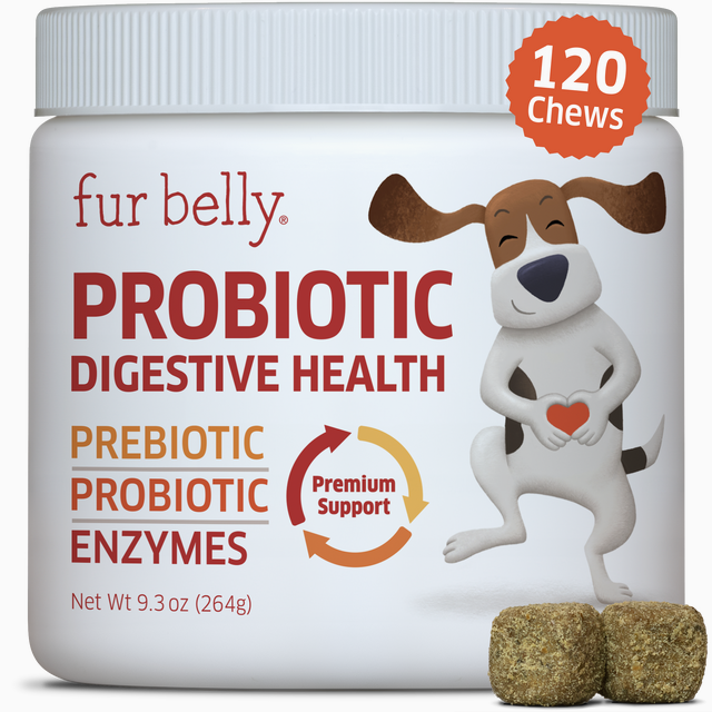 Probiotic Digestive Health