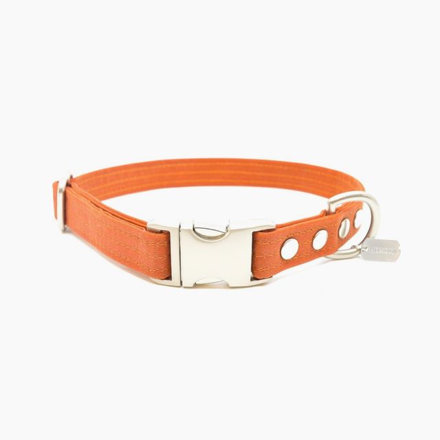 Orange Waxed Canvas Dog Collar