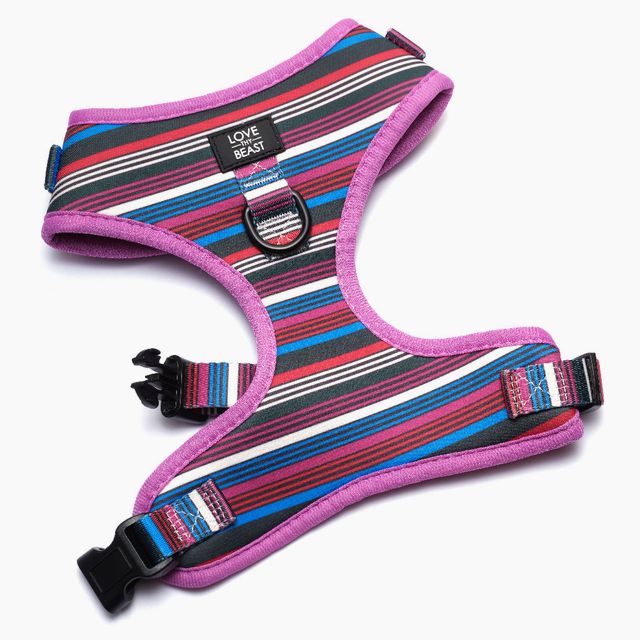 Retro Stripe Harness - Purple