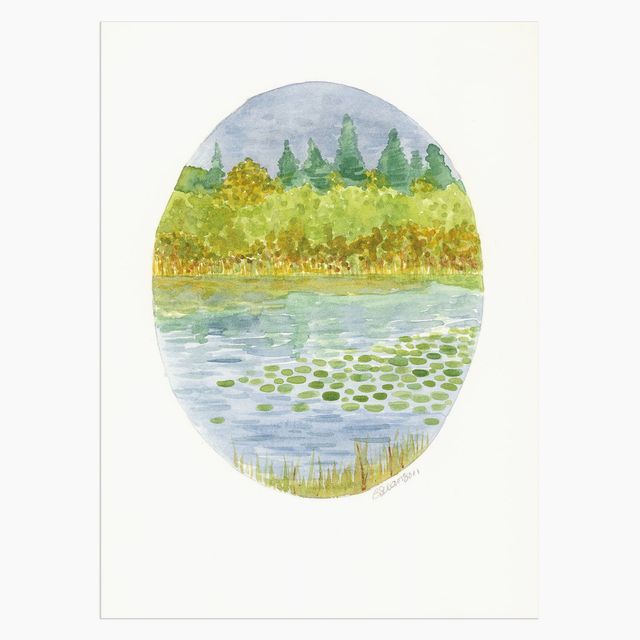 Autumn Water Lily Pond Original Watercolor Painting