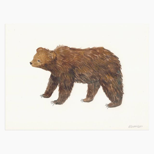 Grizzly Bear Original Watercolor Painting