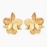 Little Laelia Orchid Earrings