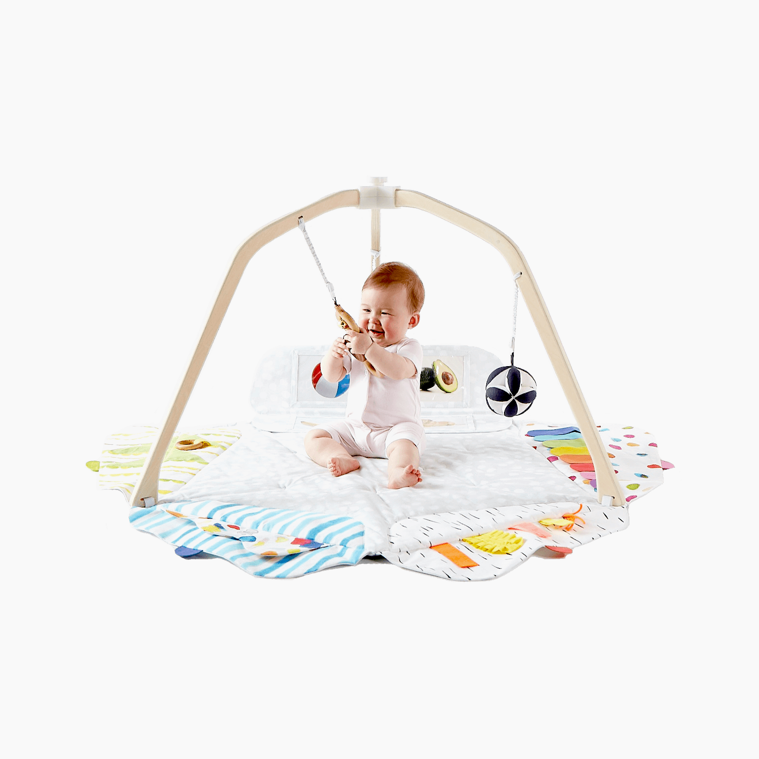 The Play Gym