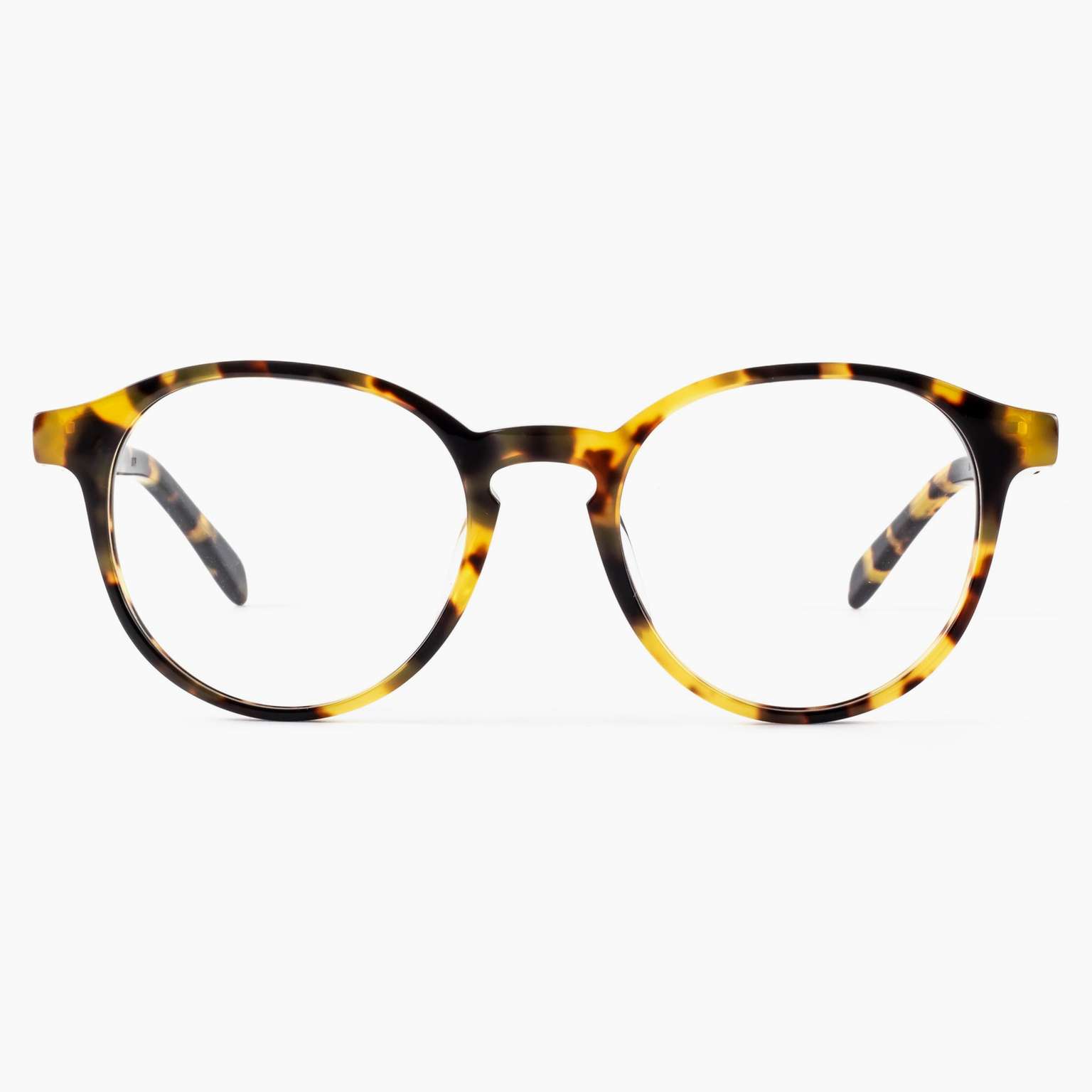 Sutro Optical 04