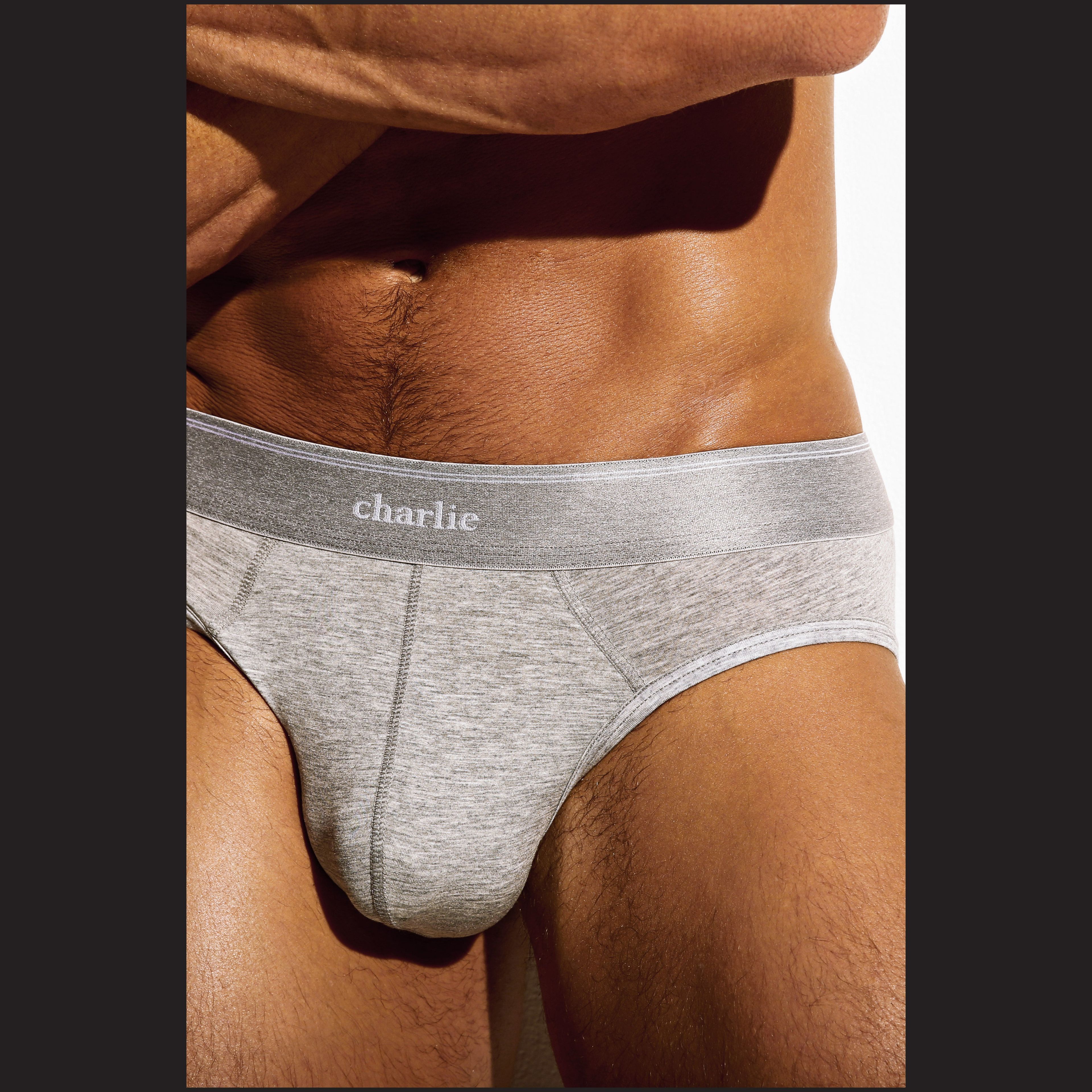 Charlie by matthew zink mens underwear  fitness series classic brief –  Charlie By Matthew Zink
