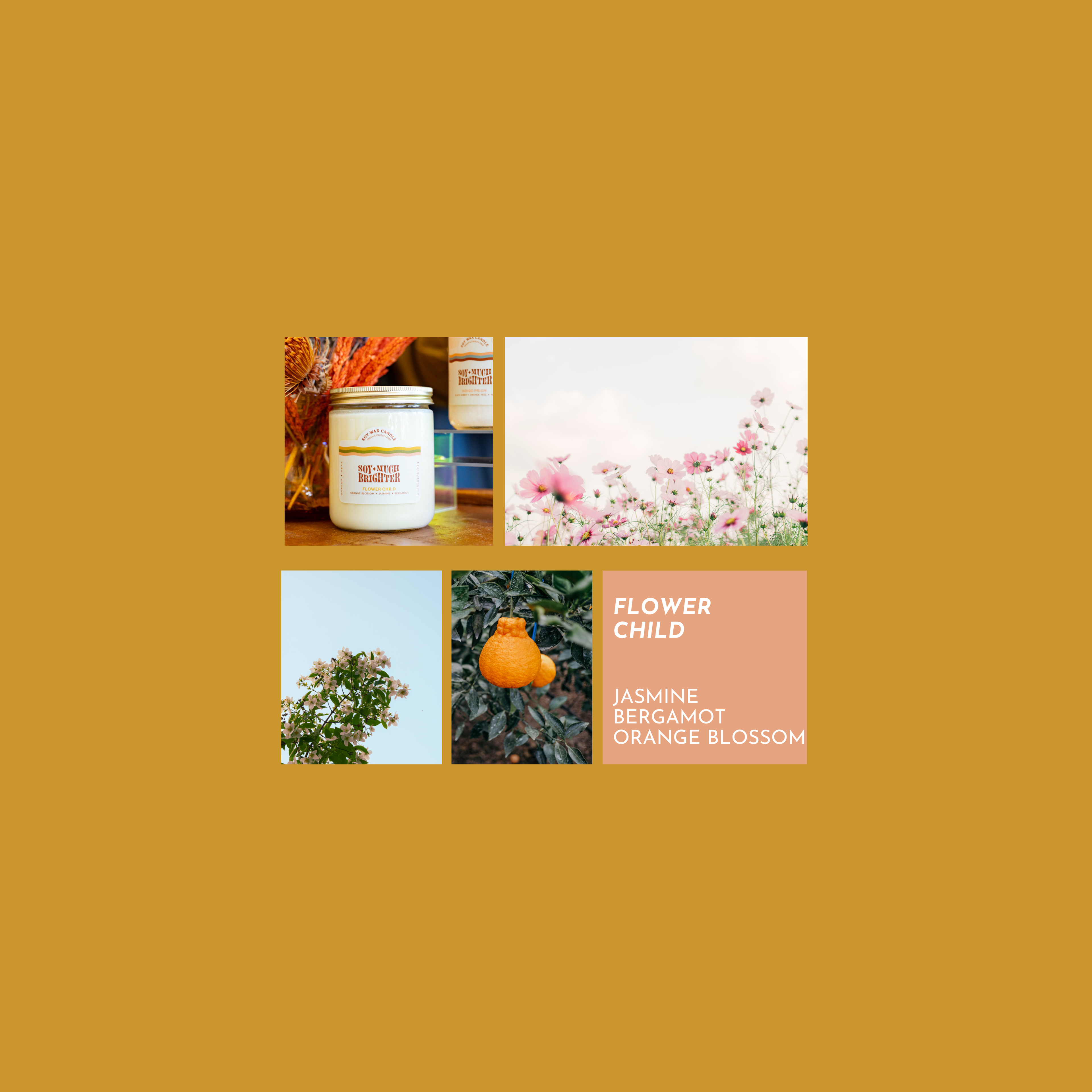 Flower Child: Bergamot + Jasmine + Orange Blossom