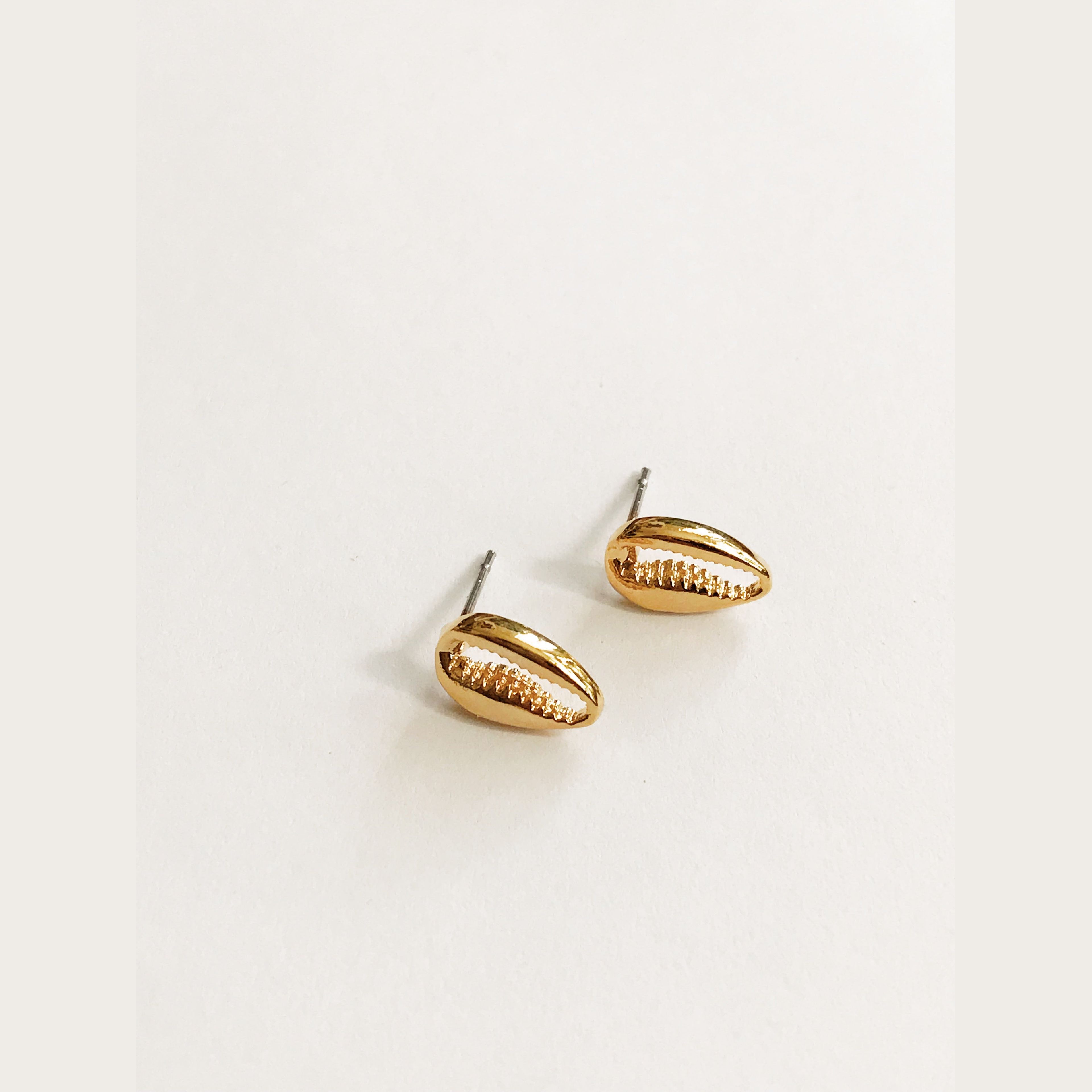 Tiny Cowrie Shell Studs