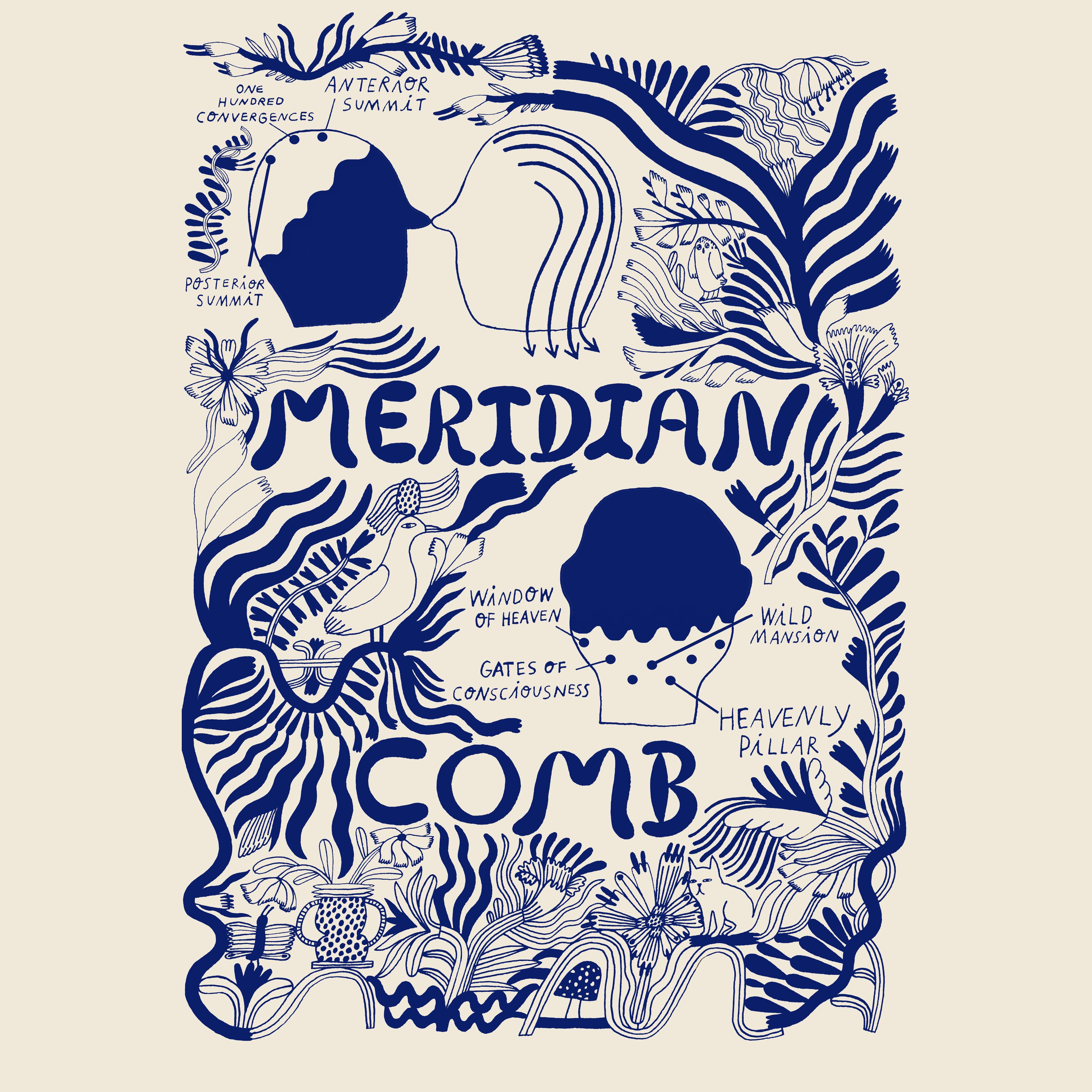 Meridian Comb