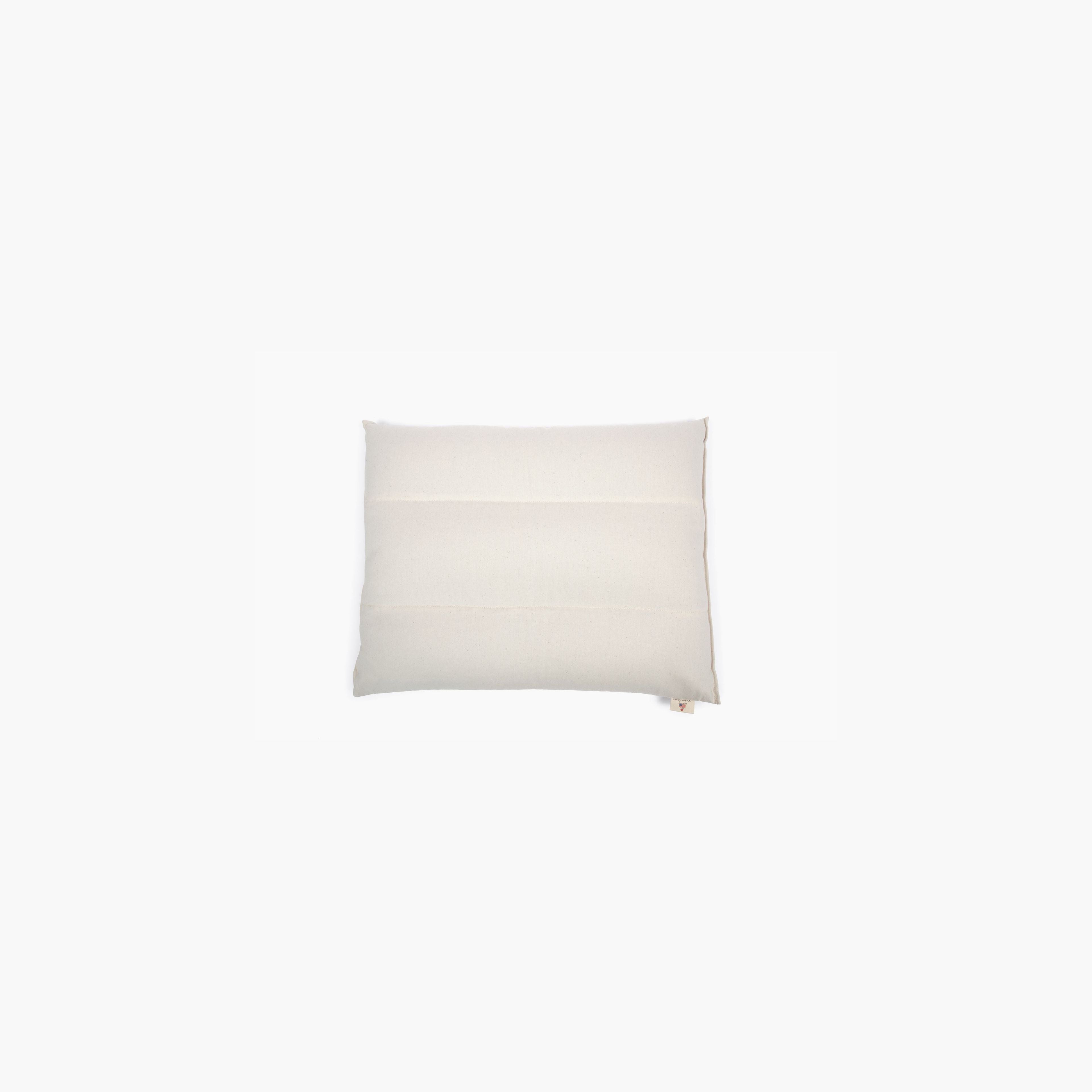 Hullwinkle Buckwheat Pillow