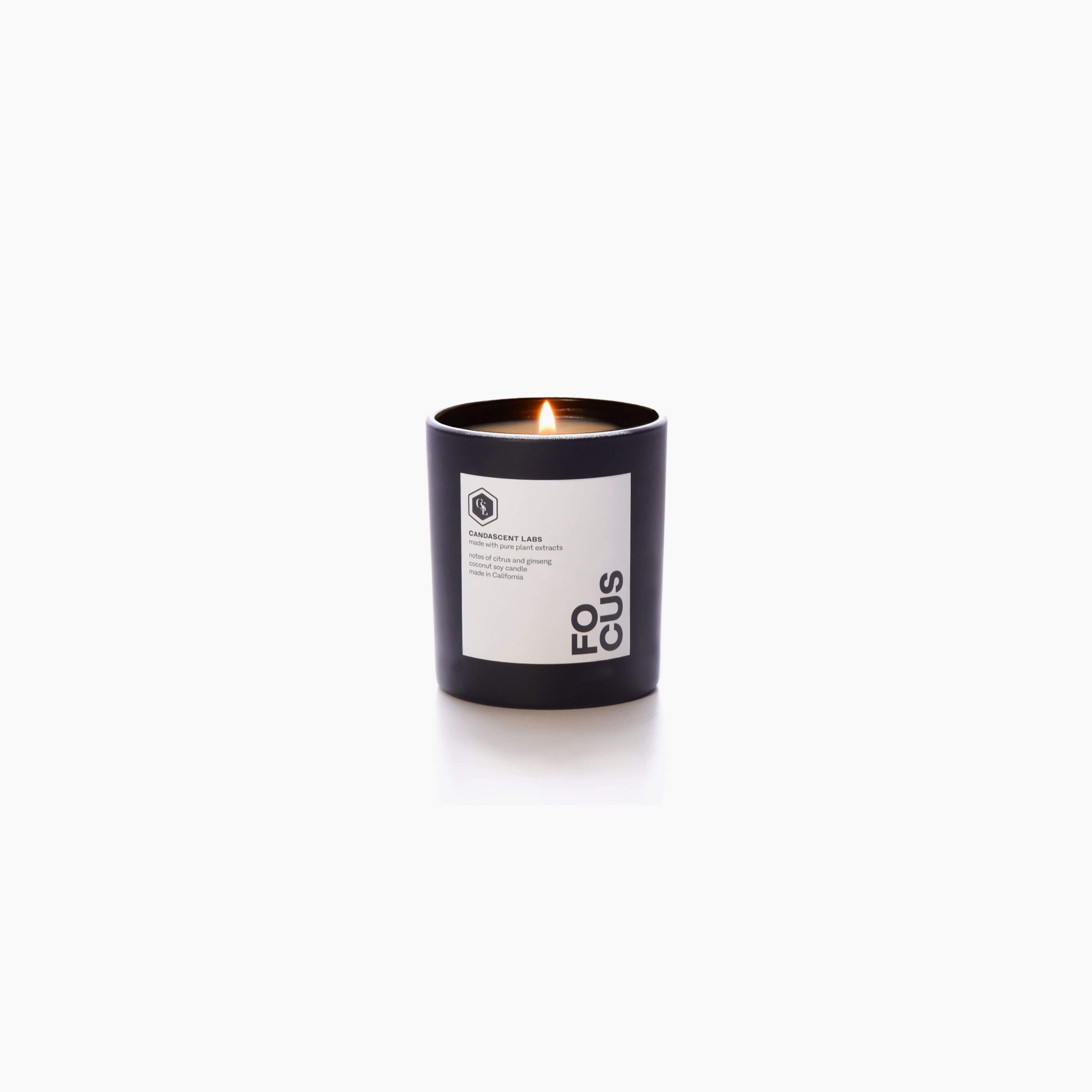 FOCUS - Citrus and Ginseng Candle